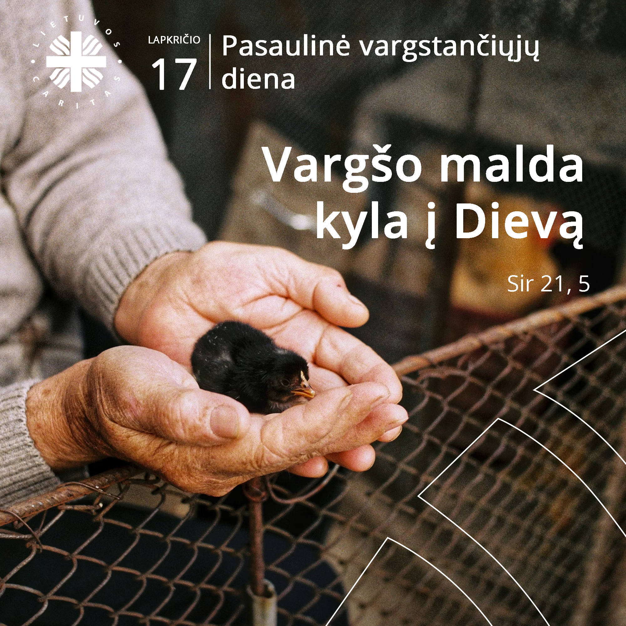 Vargšo malda kyla į Dievą, primena popiežius Žinioje Vargstančiųjų dienai